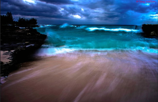 3 Suites Free Breakfast Steps to Beach - Photo 2