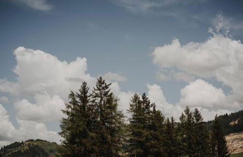 Larix Lodge - Foto 32