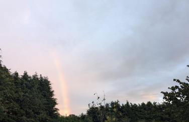 The Swallow Shepherds Hut at Bee Happy Breaks Scotland - Photo 15