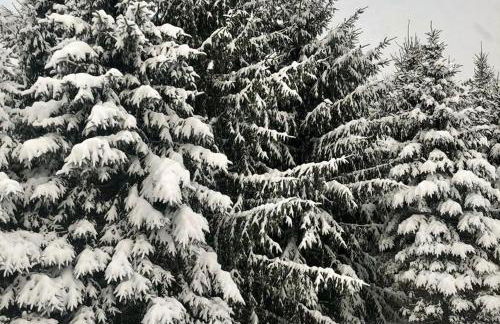 Cozy Creek House - Foto 50