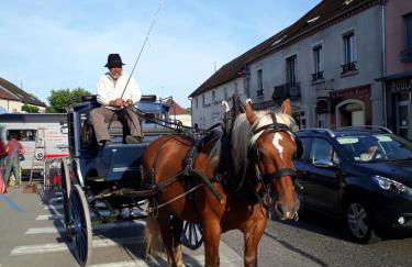 Gite de Pêche - Foto 6