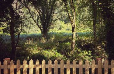 The Barley Mill - Foto 35