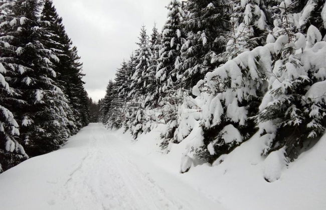 Unique Renovated Bakery in Landhouse - Foto 39