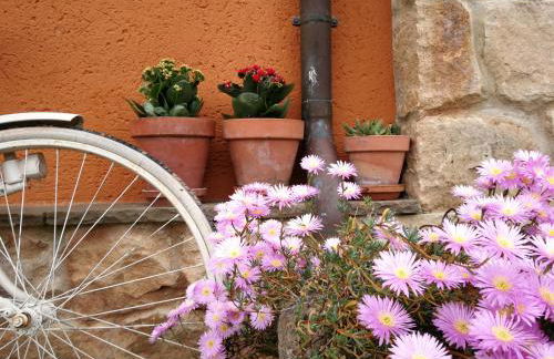 El MIRADOR DE TONO , Casa entera - Foto 21