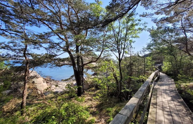 5 Star Holiday Home in Bohus Malmon - Foto 13