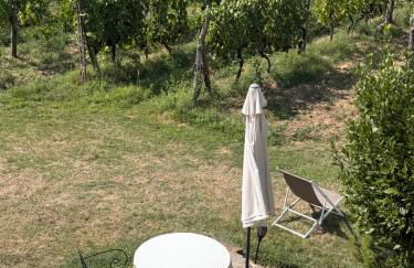 Agriturismo San Jacopo - Foto 13