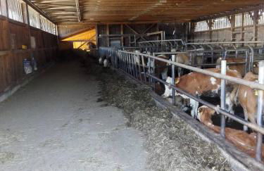 Ferienwohnung Dichtl - Foto 22