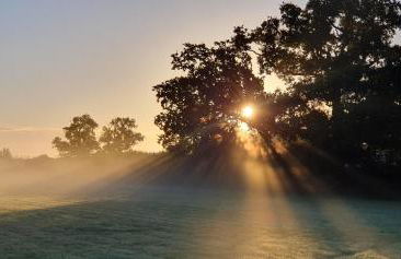 The Granary Stradbroke - Foto 25