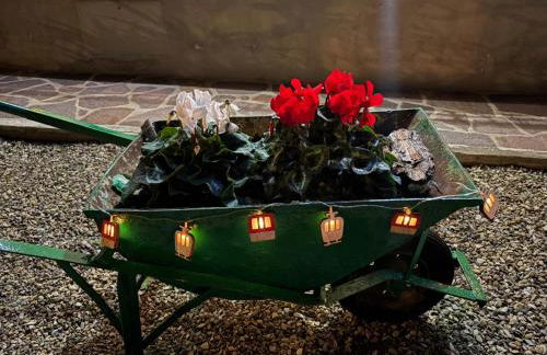 Appartamento Magnolia - Foto 31