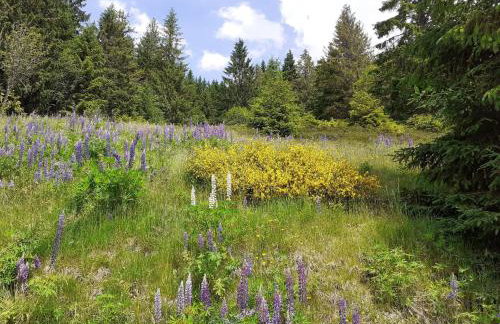 Ferienwohnung Sonnen Strahl - Photo 9