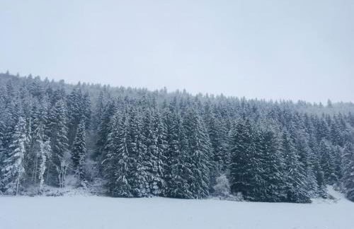 L'étable du Vercors - Foto 36