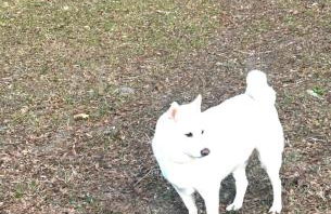 Happy Place near WEC , Natural Springs,Zip-Line - Photo 23