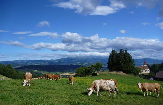 Chalet in Klippitztorl ski Area With Sauna - Foto 38