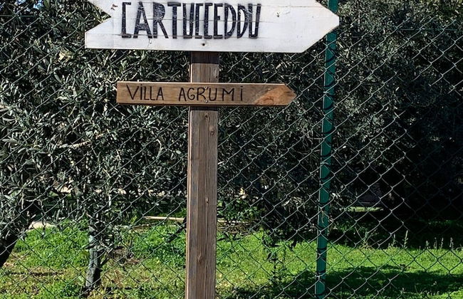 Casa Vacanze al Mare la Casa del Geco - Photo 24