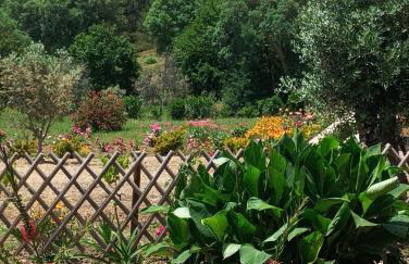 Casa Virginia - Foto 60