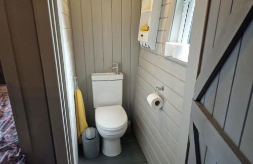 Glan yr Afon Dau - Relax, Recuperate, Enjoy - Foto 19