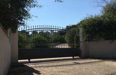 The Olive Orchard - Foto 9