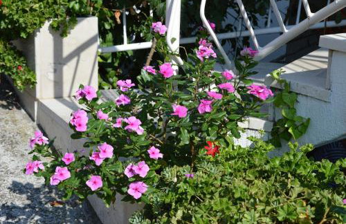 Apartments Majstrovic - Photo 73