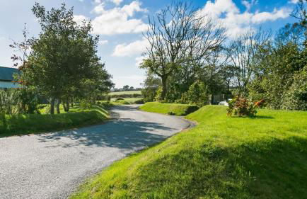 Cleifiog Fawr - Foto 78