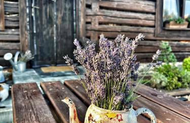 Malinowa Chatka - Foto 47