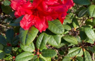 Suiten im alten Berghotel Antonia - Photo 22