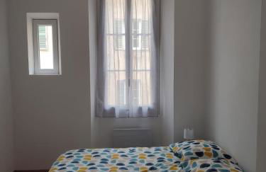 T4 Hausmanien Calme Jardin Alexandre Place de la Liberté - Foto 11