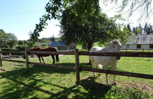 Country House near Mont St Michel - Foto 26