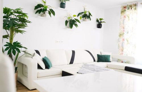 New Big City Center Apartment 4th floor no elevator - Photo 4