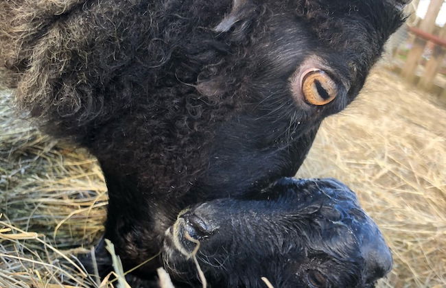 Farmer's Guest House - Foto 13