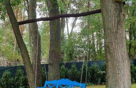 Niezapominajka - Foto 57