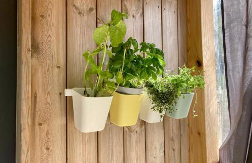 Przystanek Naglady Warmia- całoroczny, duża leśna działka - Foto 16