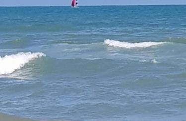 Exclusive Apartment - Playa de Marenys de Rafalcaid - Photo 53