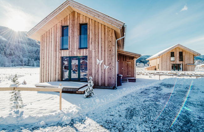 Superior # 15 mit IR-Sauna & Sprudelbad - Photo 32