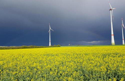 Apartment Deluxe, inklusive WLAN, Parkplatz und Netflix - Foto 24