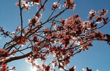 Quinta de Baixo - Photo 39