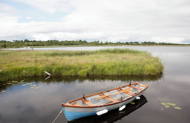 Inviting 4-bed House in Strokestown - Photo 14