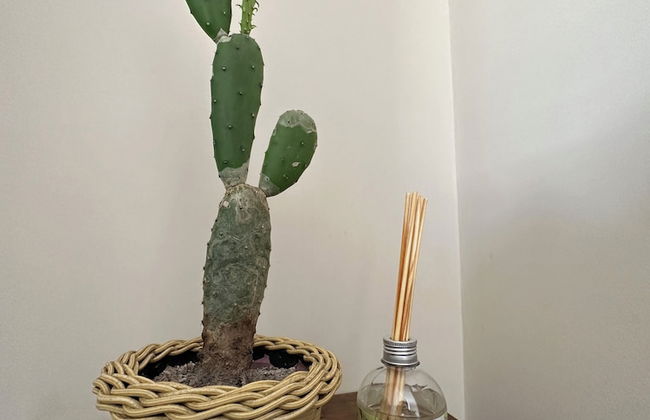 Pousada Brisa do Mar - Photo 36