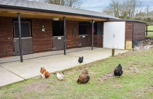 The Retreat - Photo 13