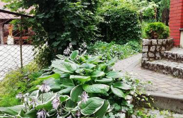 BAJA Gospodarstwo Agroturystyczne - Foto 10