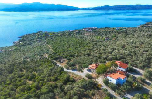 SIX INDEPENDENT HOUSES BY THE sea - Foto 51