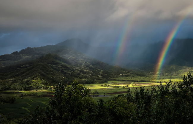 Paniolo 210a - Foto 15