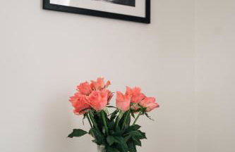 Apartament Studio Migot - Foto 19