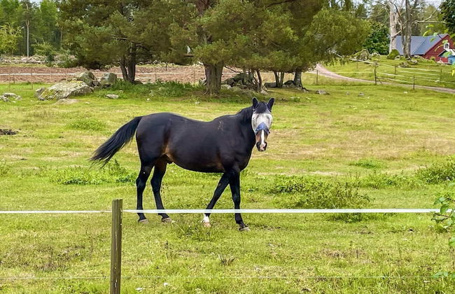 3 Person Holiday Home in Berga-by Traum - Foto 39