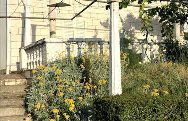 Family apartments Dominković - Photo 4