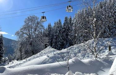 Chalet ski-in-out face au MontBlanc & Bain nordique - Foto 41