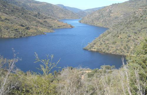 Casa do Souto - Foto 3