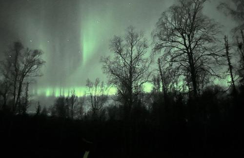 Hatcher Pass Lakeside Hideaway with Hot Tub! - Foto 5