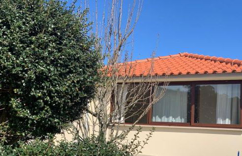 Oliveira's Little House - Foto 7