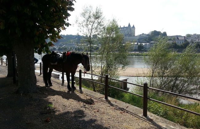 Different Holidays - Foto 23