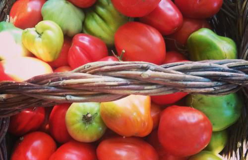 Villa La Lodola - Photo 61